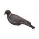 Chausette Pigeon Ramier