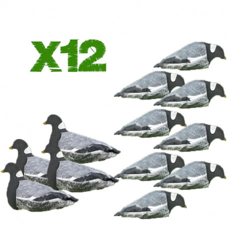 Pack 12 aéro-blettes pigeons