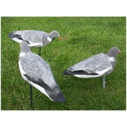 Chaussettes pigeons UV